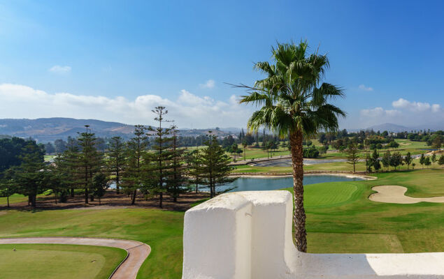 Las Golondrinas Golf view - Photo 21