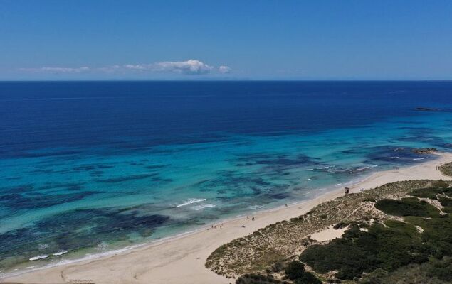 Villas Finesse Type 1 - Photo 30