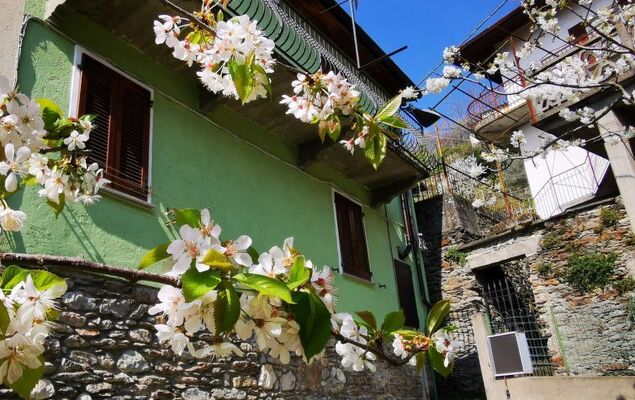 Green House - Photo 18