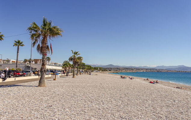 Les Coralines - Photo 26