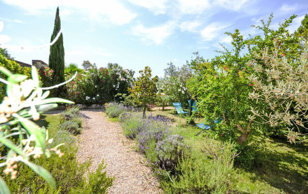 L'Olivier - Photo 42